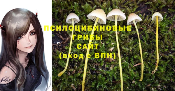 мяу мяу кристалл Аркадак